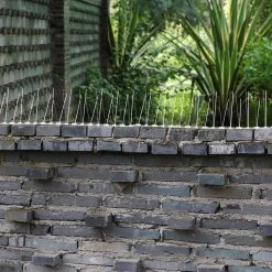 Yaheetech Taubenspikes 10 STK Edelstahl Taubenabwehr 50cm Vogelschutz Vogelabwehr Vogelschreck -BRB-Lagertechnik Geschäft 8600357600 A141 141 prod 003 1